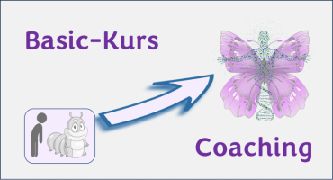Basic-Kurs: Aktiviere den inneren Heiler in dir -erschaffe dich und dein Leben neu!