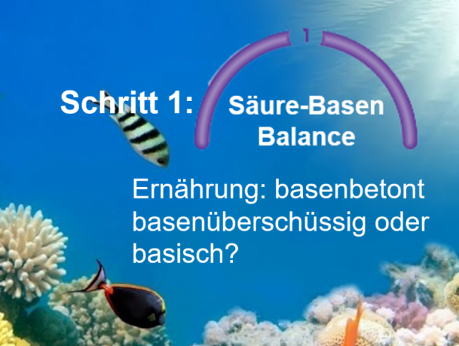 Ernährung- basenbetont oder basisch?