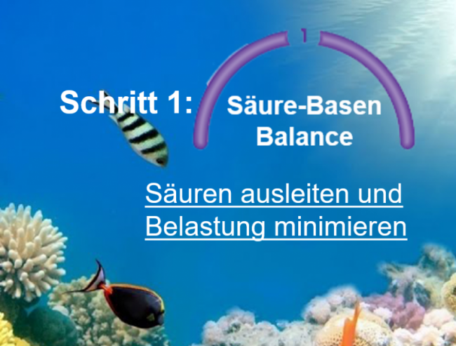 Säuren ausleiten- Belastung minimieren