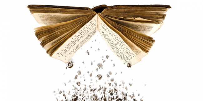 Generalisierungs-Effekt