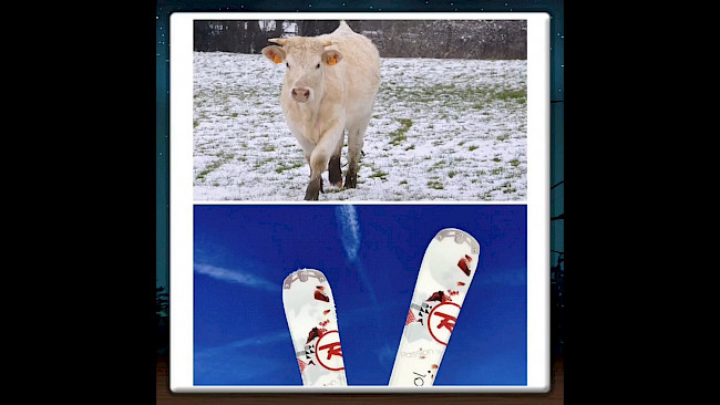 Unser Hirn denkt in Bildern