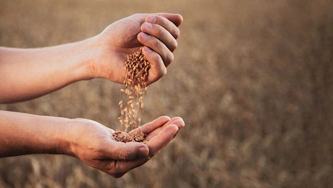 Einführung in Modul 5