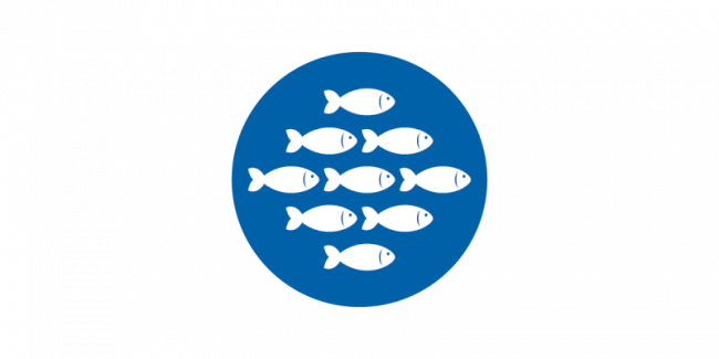 7. Schwarmintelligenz