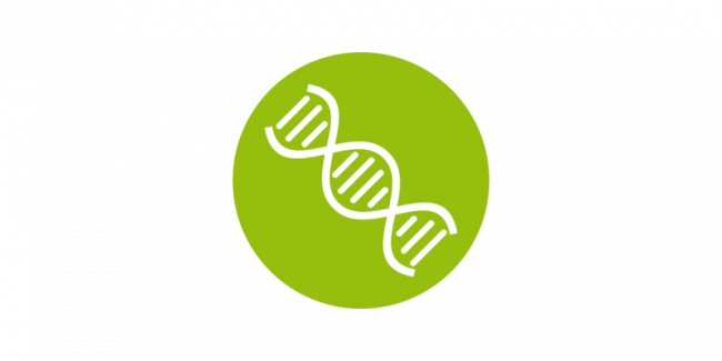 3. Die DNA erfolgreicher Teams