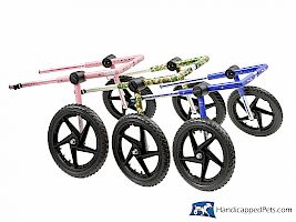 Wissenswertes zum Walkin´Wheels Rolli