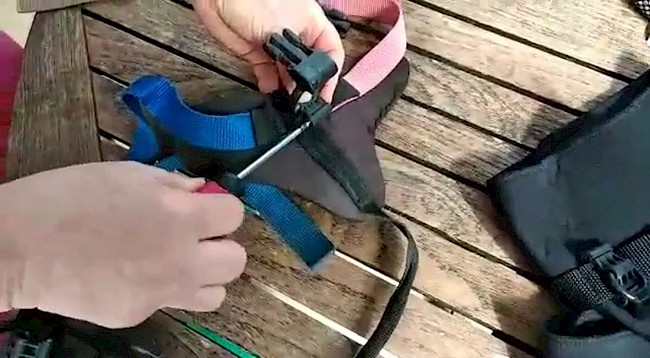 Clips des Geschirrs austauschen/umsetzen