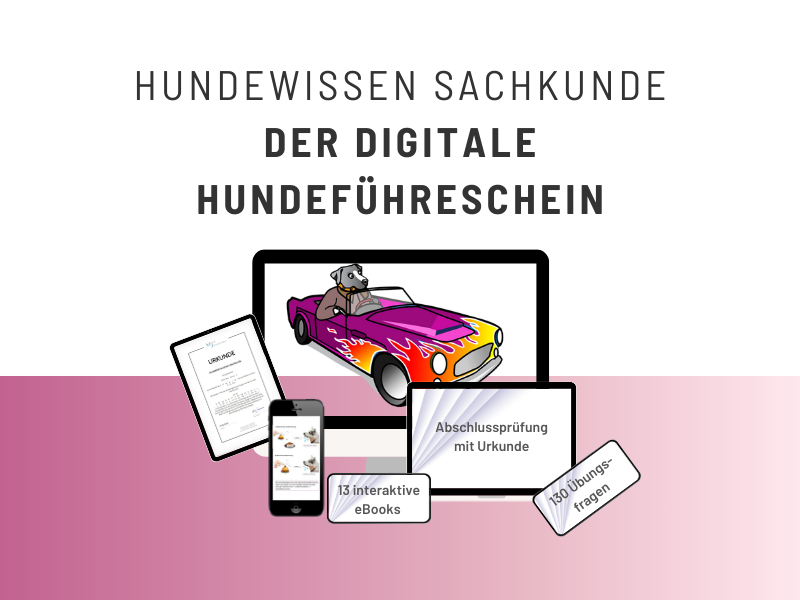 der_digitale_hundefuhrerschein_09-2023.1693991771.png