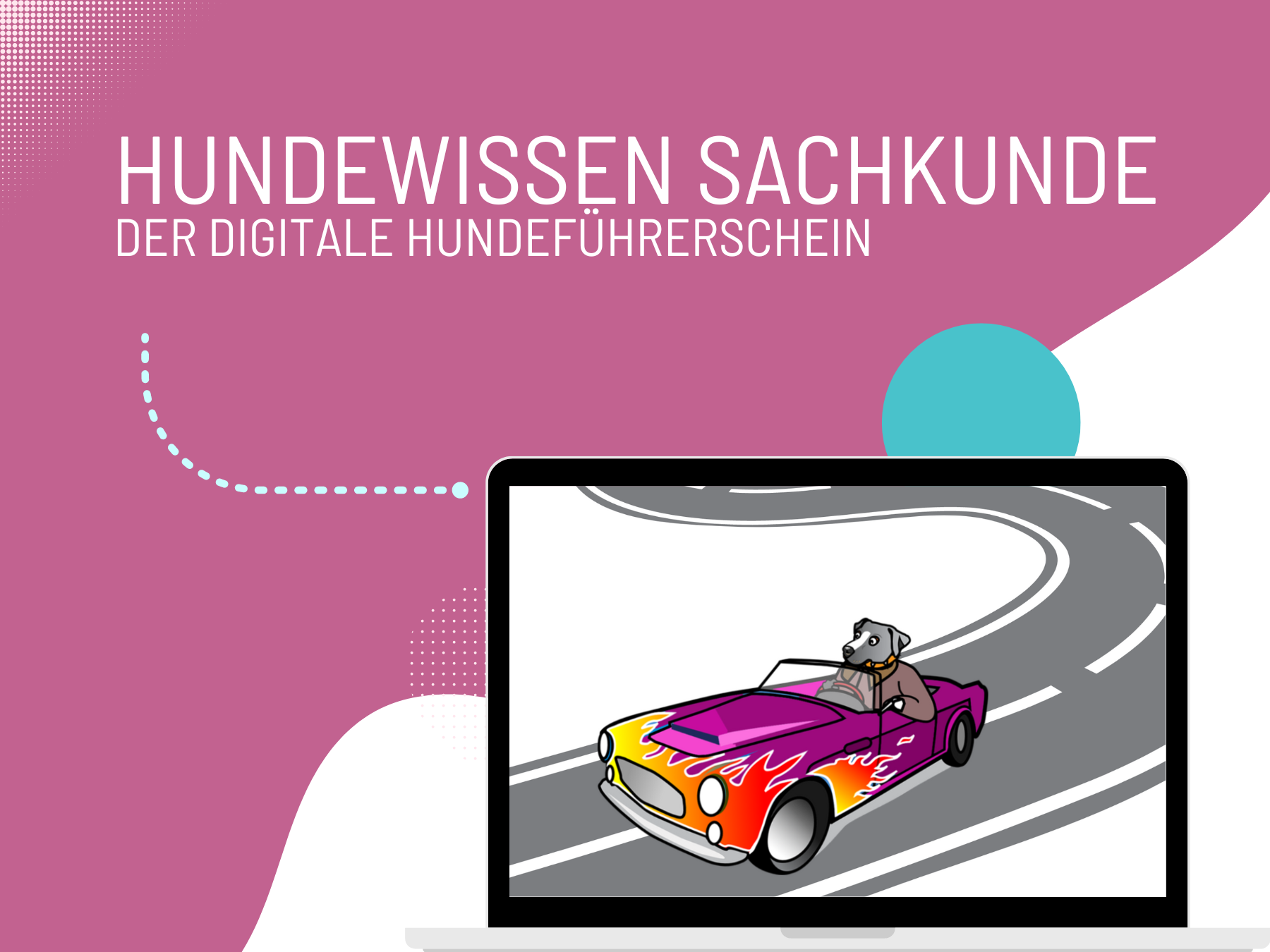 digitaler_hundefuhrerschein.1693990804.png