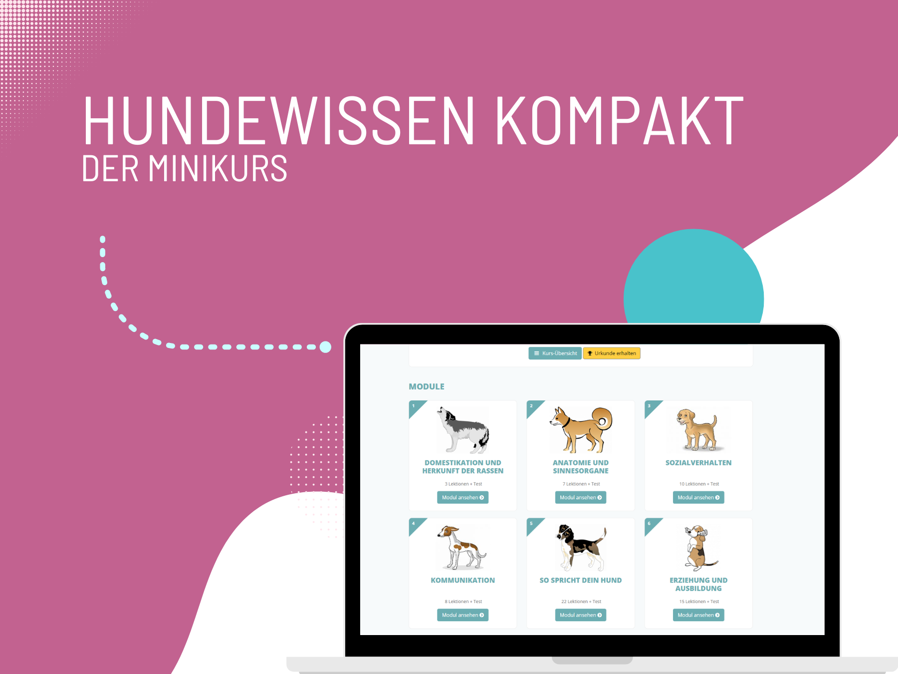 hundewissen_kompakt.1693992651.png