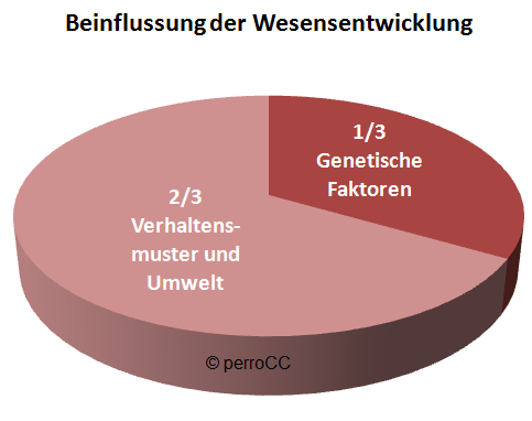 wesensentwicklung.1618318367.png