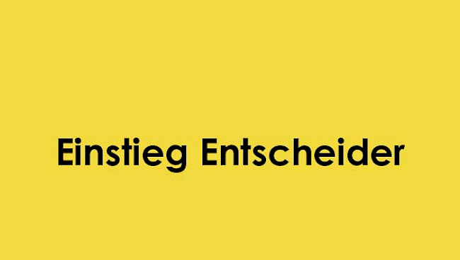 Einstieg Entscheider