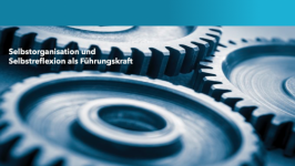 Selbstorganisation und Selbstreflexion als Führungskraft