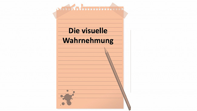 Die visuelle Wahrnehmung