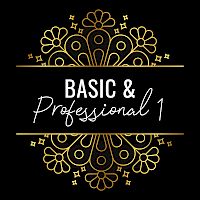 Basic und Professional 1