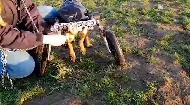 Variante Beineinsatz aushängen