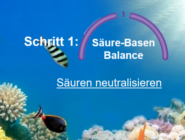 Säuren neutralisieren