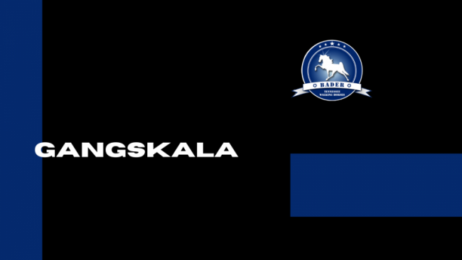 Gangskala