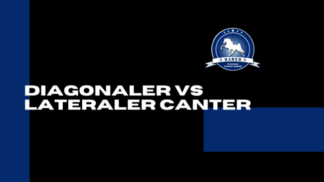 Diagonaler vs Lateraler Canter