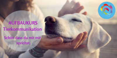 Aufbaukurs 1 Tierkommunikation