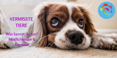 Spezial Seminar vermisste Tiere