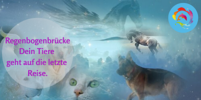 Sterbebegleitung - Dein Tier geht auf die letzte Reise