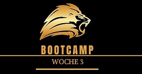 WOCHE 3 Trade management