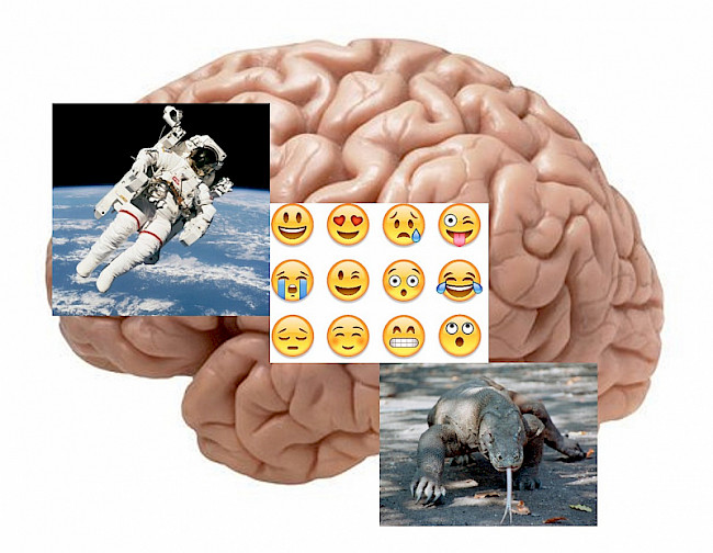 Wissenschaftliche Grundlagen