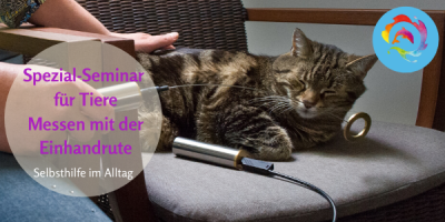 Selbsthilfe im Alltag für Tiere - Einhandrute/Tensor