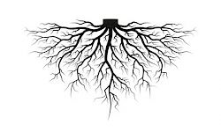 Wichtiges Grundlagenwissen