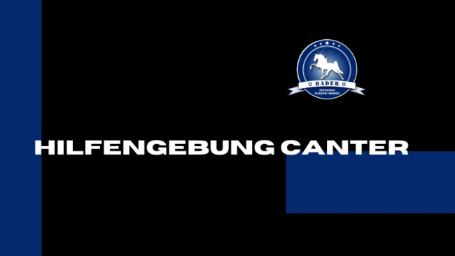 Hilfegebung Canter