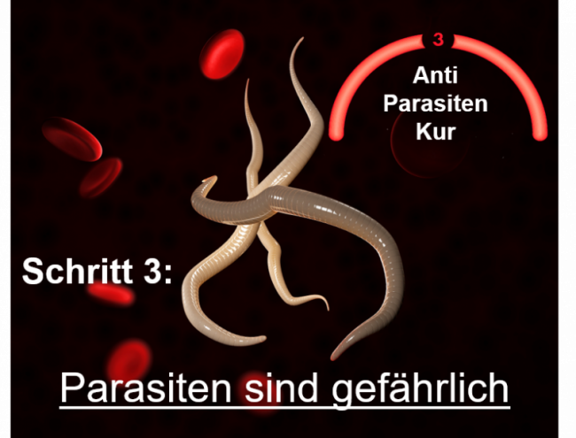 Parasiten sind gefährlich