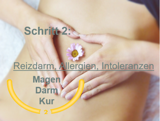 Reizdarm, Allergien, Intoleranzen