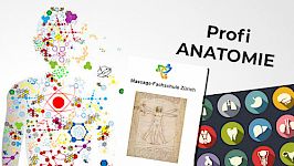 Anatomie des Menschen Teil 01