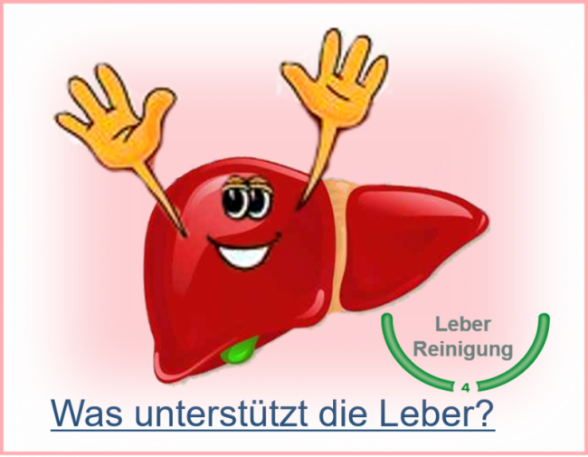 Was unterstüzt die Leber?