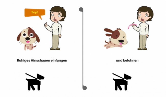 Click für Blick