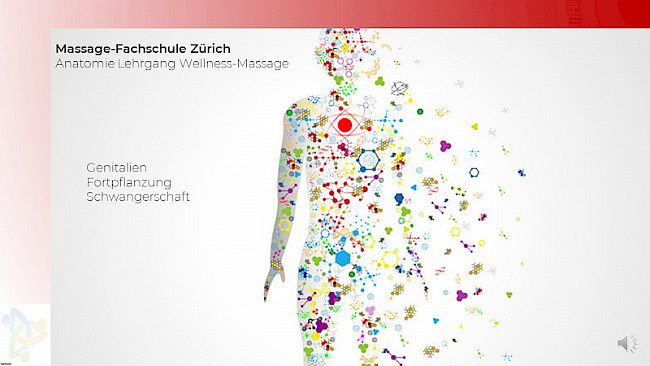 Genitalien Fortpflanzung und Schwangerschaft