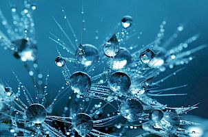 Die drei Leuchtsterne des 21. Jahrhunderts