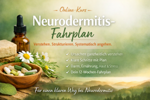 Neurodermitis-Fahrplan Verstehen. Strukturieren. Systematisch angehen.