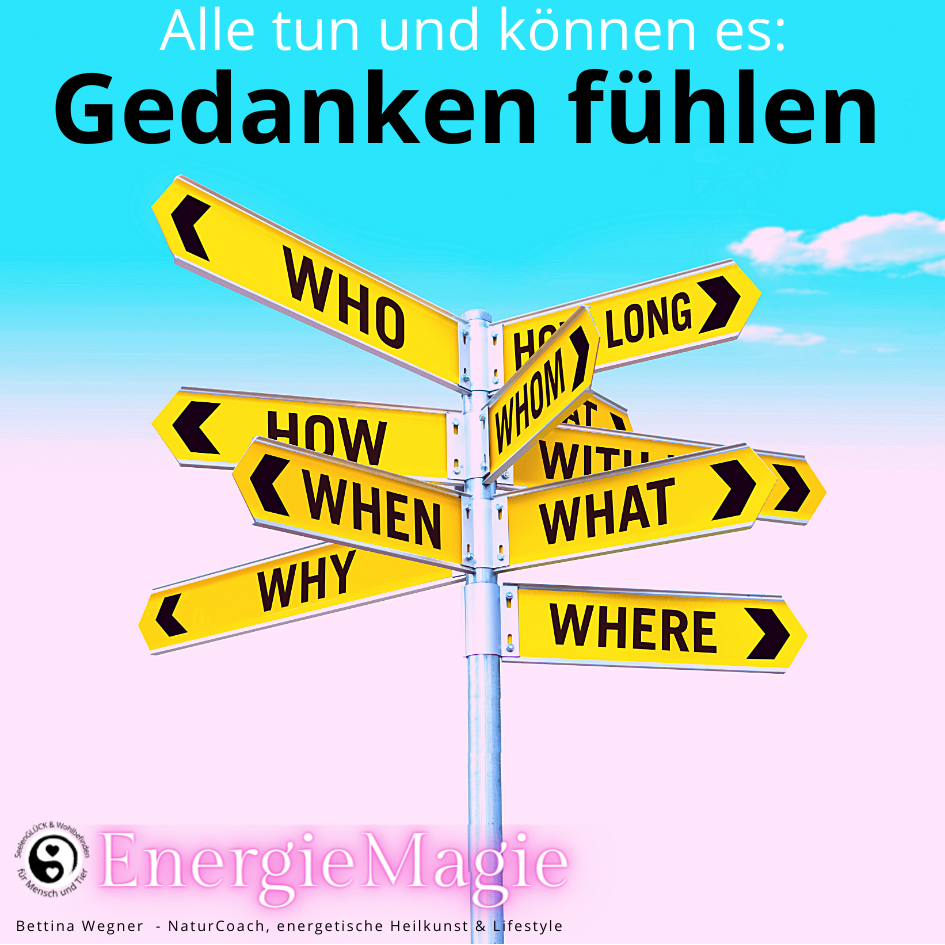 gedanken_fuhlen_1687268237.1716377530.png