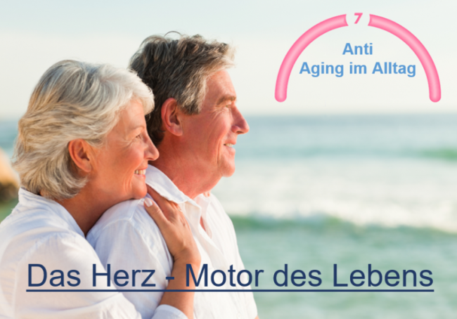 Das Herz-Motor des Lebens