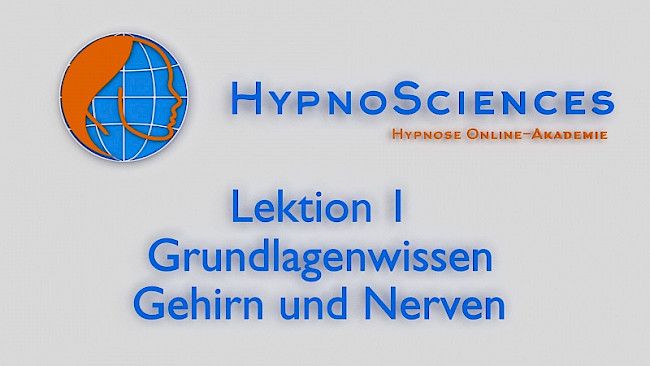 Grundlagenwissen Gehirn und Nerven