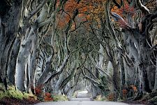 DreamSenseMemory Theorie (Deutsch)