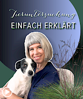 TIERUNTERSUCHUNG einfach erklärt