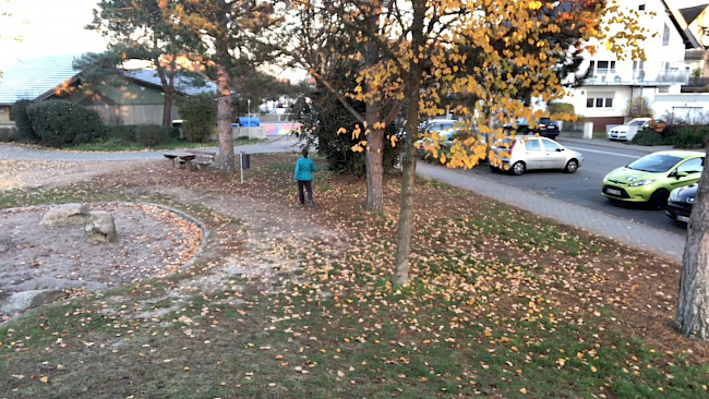 Ausdauertraining im Park