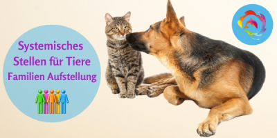 Systemisches Stellen für Tiere