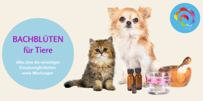 Bachblüten für Tiere