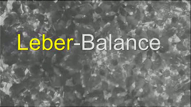 Leber-Balance