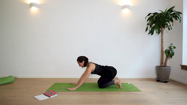 018: Allrounder - Stretching Routine