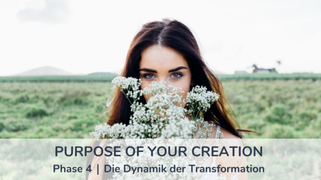 Phase 4 - Die Dynamik der Transformation