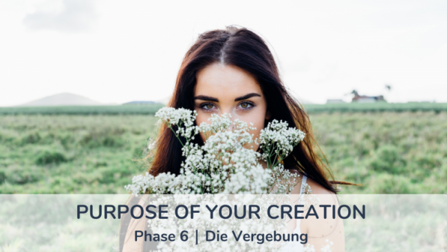 Phase 6 - Die Vergebung